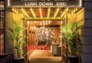 Reflex work in Everyman Cinemas